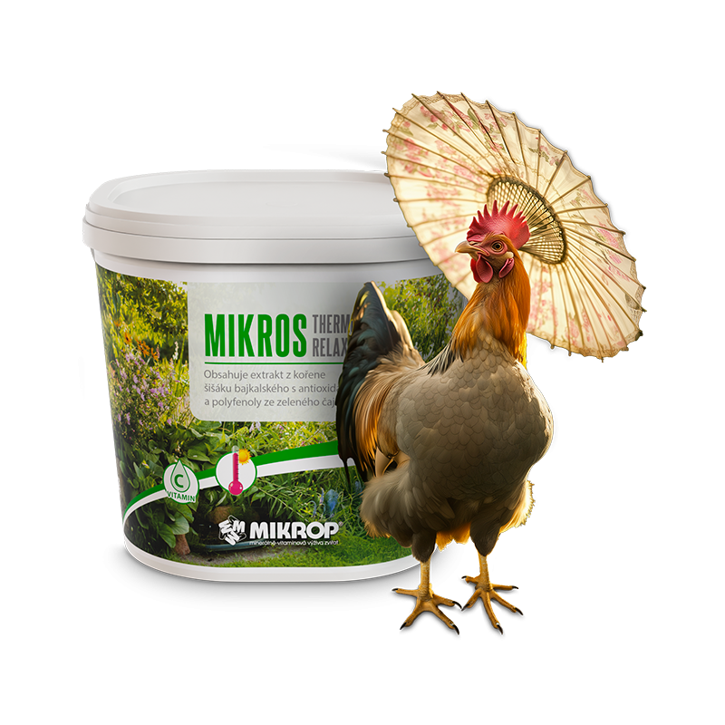 Vizuál, který posouvá Mikrop dál