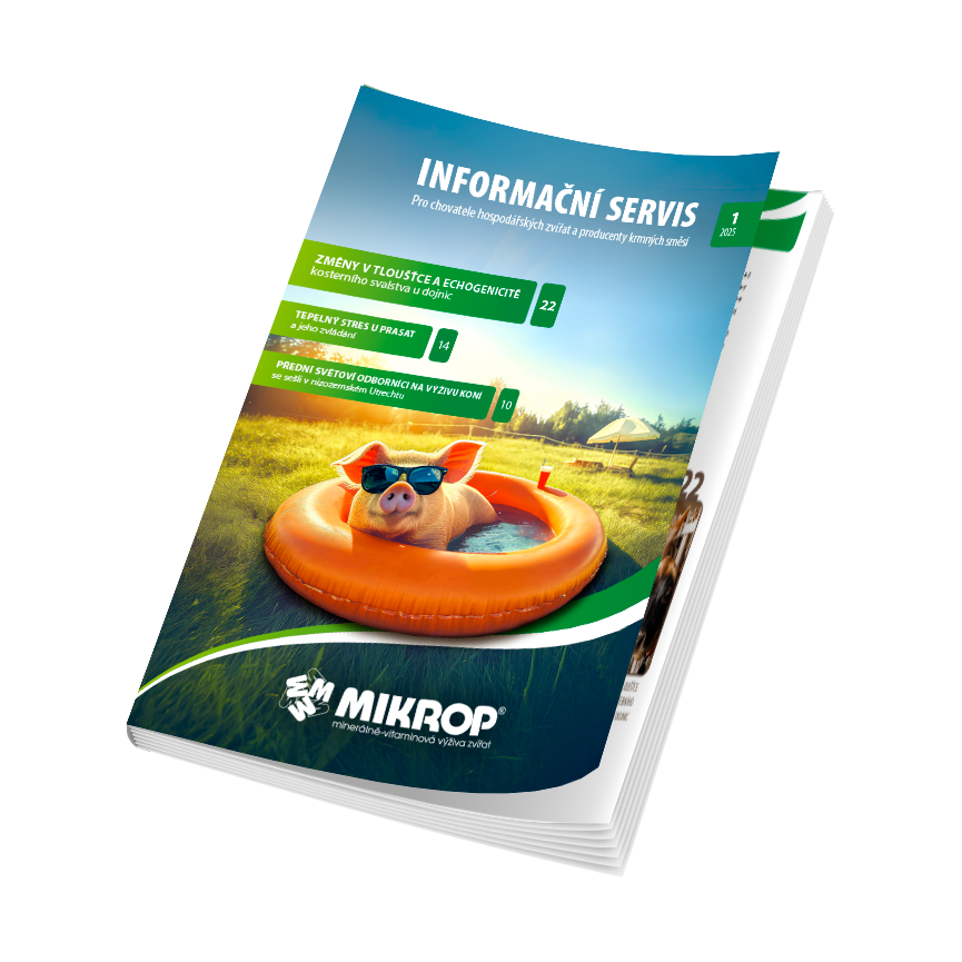 Magazín, který buduje důvěru