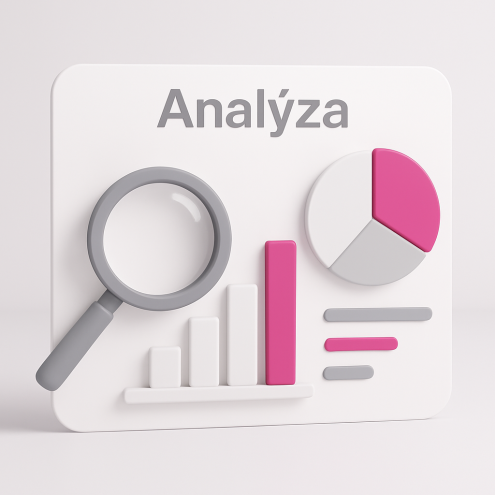 Analýza