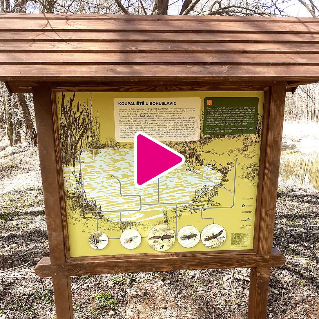 Nestandardní cedule