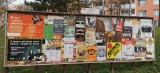 13.týden