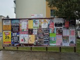 19.týden