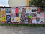 21.týden