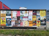 23.týden