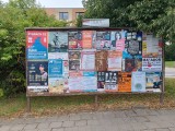 29.týden