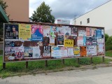 30.týden