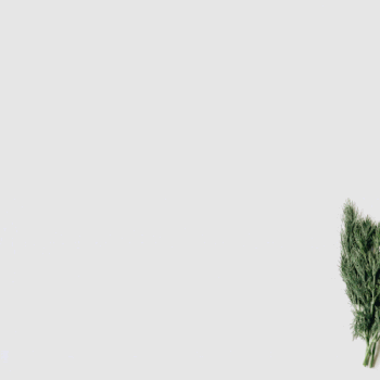 Redesign s respektem k přírodě